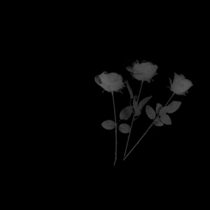 一个人唱情歌（rap）