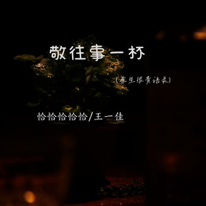 敬往事一杯 (余生很贵语录)