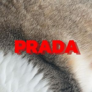 PRADA(Prod.Roman)