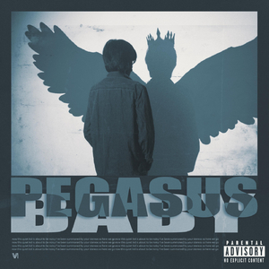 Pegasus Baby