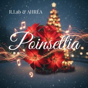 Poinsettia (Moonlit Flow)