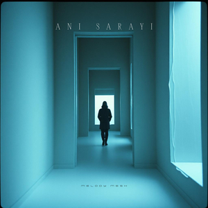 Ani Sarayi
