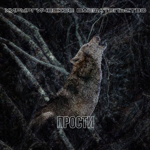 Прости