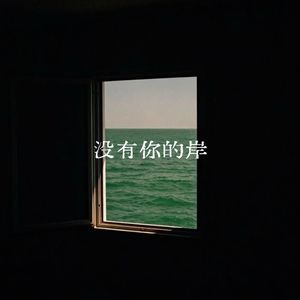 没有你的岸