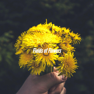 Modish Sunrise Coffee