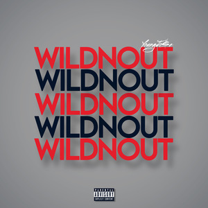 WILDNOUT