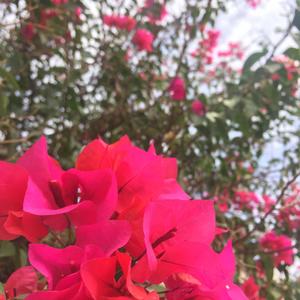 SorryNotSorry (acoustic live)