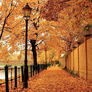 爱在清澈的水底、情于晚秋的落叶