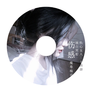 伤感独白哭腔之伤心女人二十四部