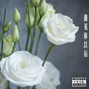 【DEMO】遇见你以后 - 结构小样（Prod By Gayuaaa∼on5）