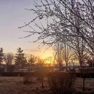 新录音8@格式转换165