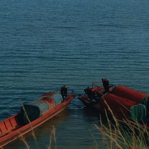 限定春日 (优雅舒缓)