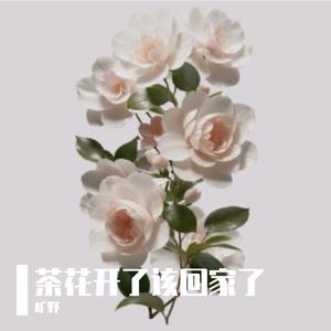 茶花开了该回家了-旷野