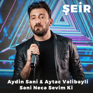 Səni Necə Sevim Ki (Şeir)