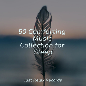 Fleeting Constellations