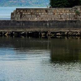 五百年桑田沧海