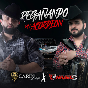 Regañando un Acordeón