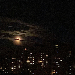 Sturgeon Moon Rave II. Caviar Party