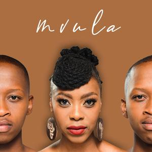 Mvula (feat. Lerato Gwebu)