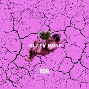 黑玫瑰