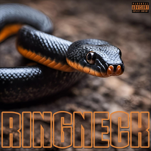 Ringneck