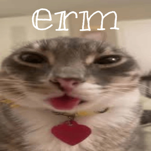 erm