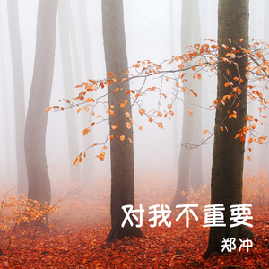 这对我都不重要