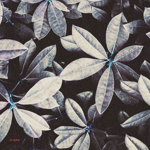 Chianti (FKA Function.428)