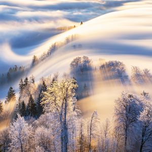 钢琴白噪音下的眠前之境