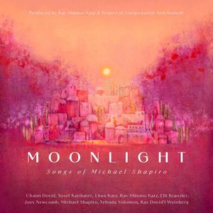 Moonlight (feat. Joey Newcomb)