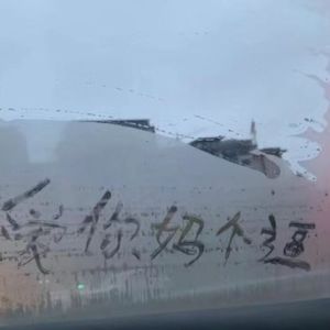 年年（翻自许秉龙）