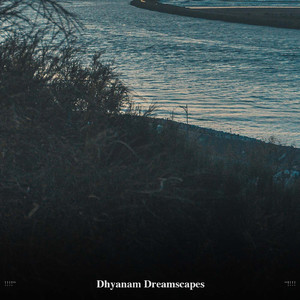 Water Sounds At The Sea Shell Beach