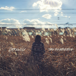 Into the Storm (Extended Version) [feat. Vincent Lee]