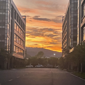 我很好“骗你的”（Demo）