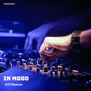 In Mood (Instrumental)