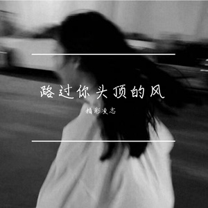 路过你头顶的风