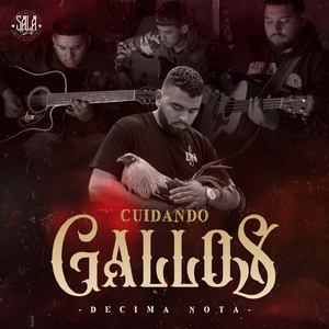 Cuidando Gallos (Live in Sala420)