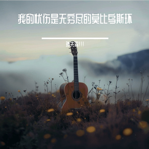 我的忧伤是无穷尽的莫比乌斯环