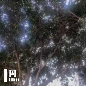 闪（Prod. Furyl, 4_Chords）