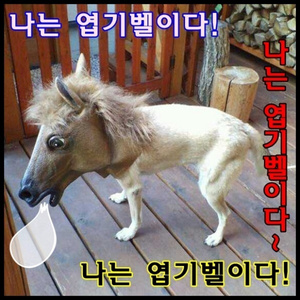 2012년 새아침(닭울음벨소리)