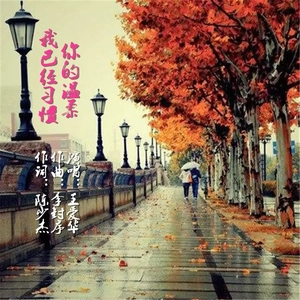 我已经习惯了你的温柔