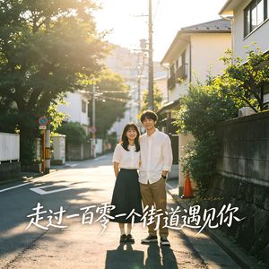 走过一百零一个街道遇见你