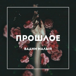 Щекастая леди