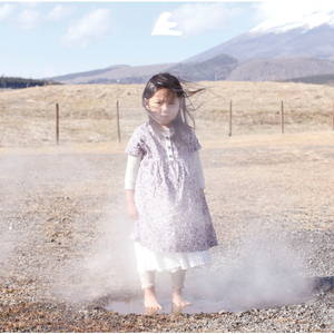 それは胜手な理论