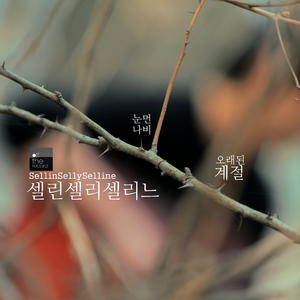 눈먼나비 (Live Ver.)