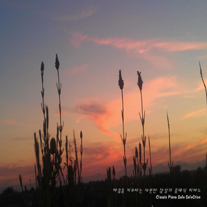 Alkan: Grand Sonata Op.33 'Les Quatre Ages' - I. 20 Ans (샤를 발랑탱 알캉: 대소나타 작품번호 33 '4개의 생애' - 1악장 '20대')