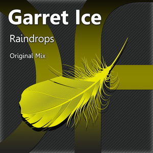 Raindrops (Original Mix)
