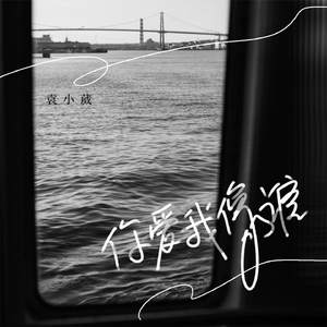 你爱我像谁 (Dj烟嗓女声版)