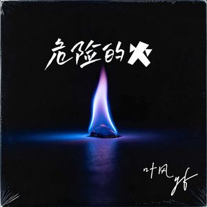 危险的火