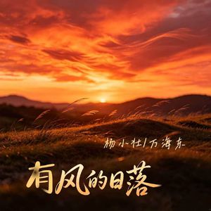 有风的日落